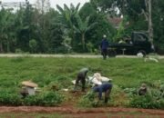 Pemkab Bogor dan Satgas Pengawal Indonesia Emas Konsisten Rawat Lahan Bomang, Optimalkan Pengelolaan.