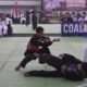 Kabupaten Bogor Jadi Ajang Unjuk Prestasi Ribuan Pesilat
